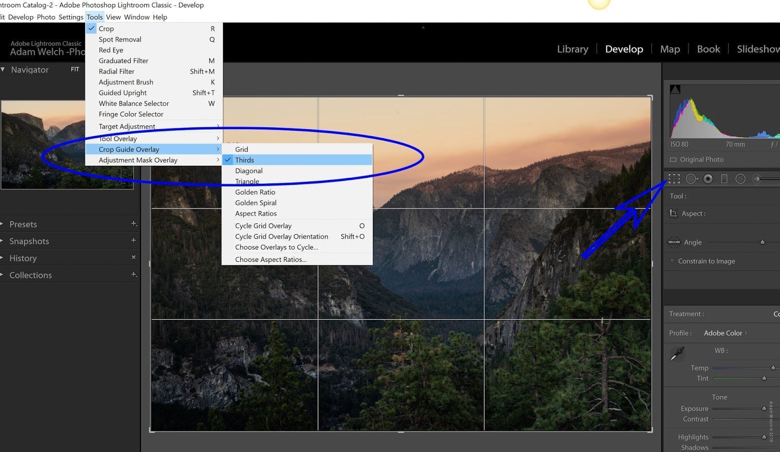 Rule of Thirds Explained