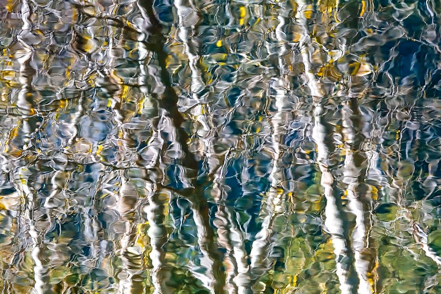 Ultimate Guide to Composition in Photography Ultimate Guide to Composition in Photography