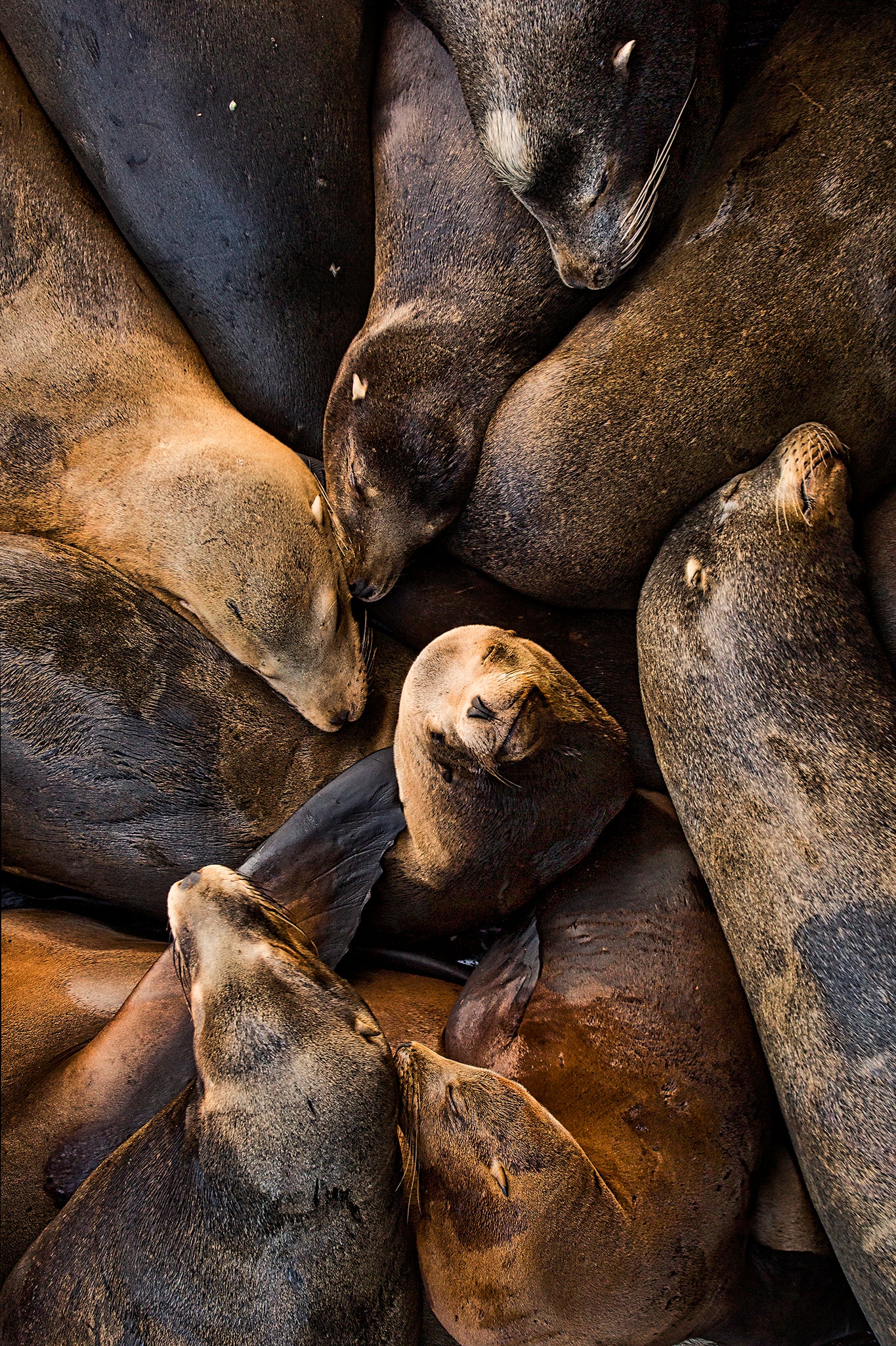 Ultimate Guide to Composition in Photography