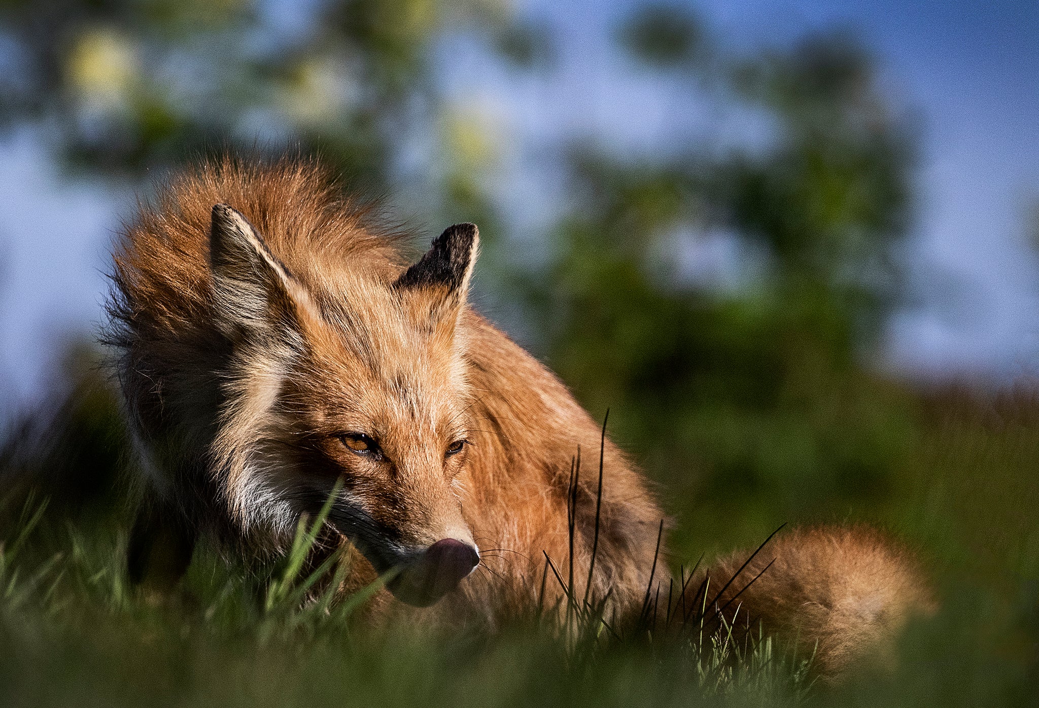 Ultimate Guide to Composition in Photography