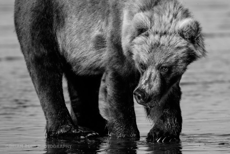 Ultimate Guide to Composition in Photography Ultimate Guide to Composition in Photography