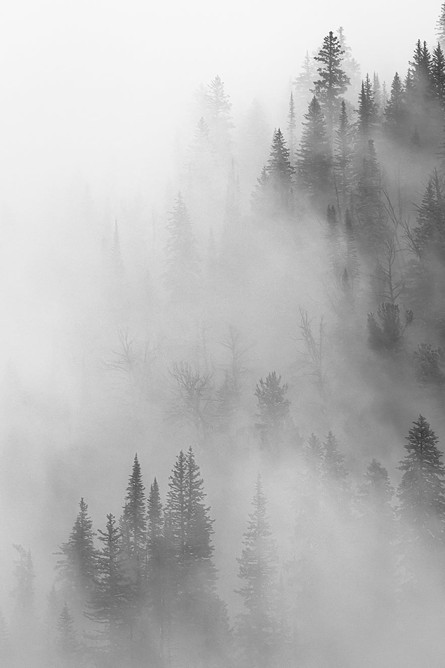 Ultimate Guide to Composition in Photography Ultimate Guide to Composition in Photography