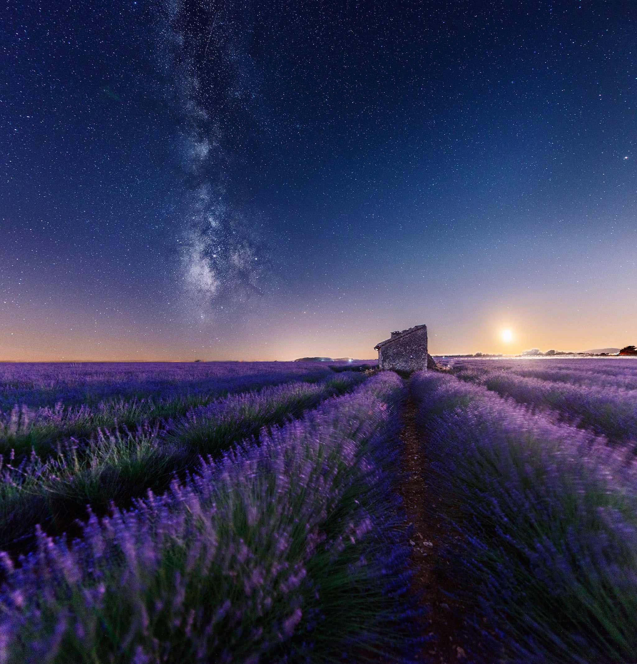 Ultimate Photography Guide to the Lavender Fields of Provence