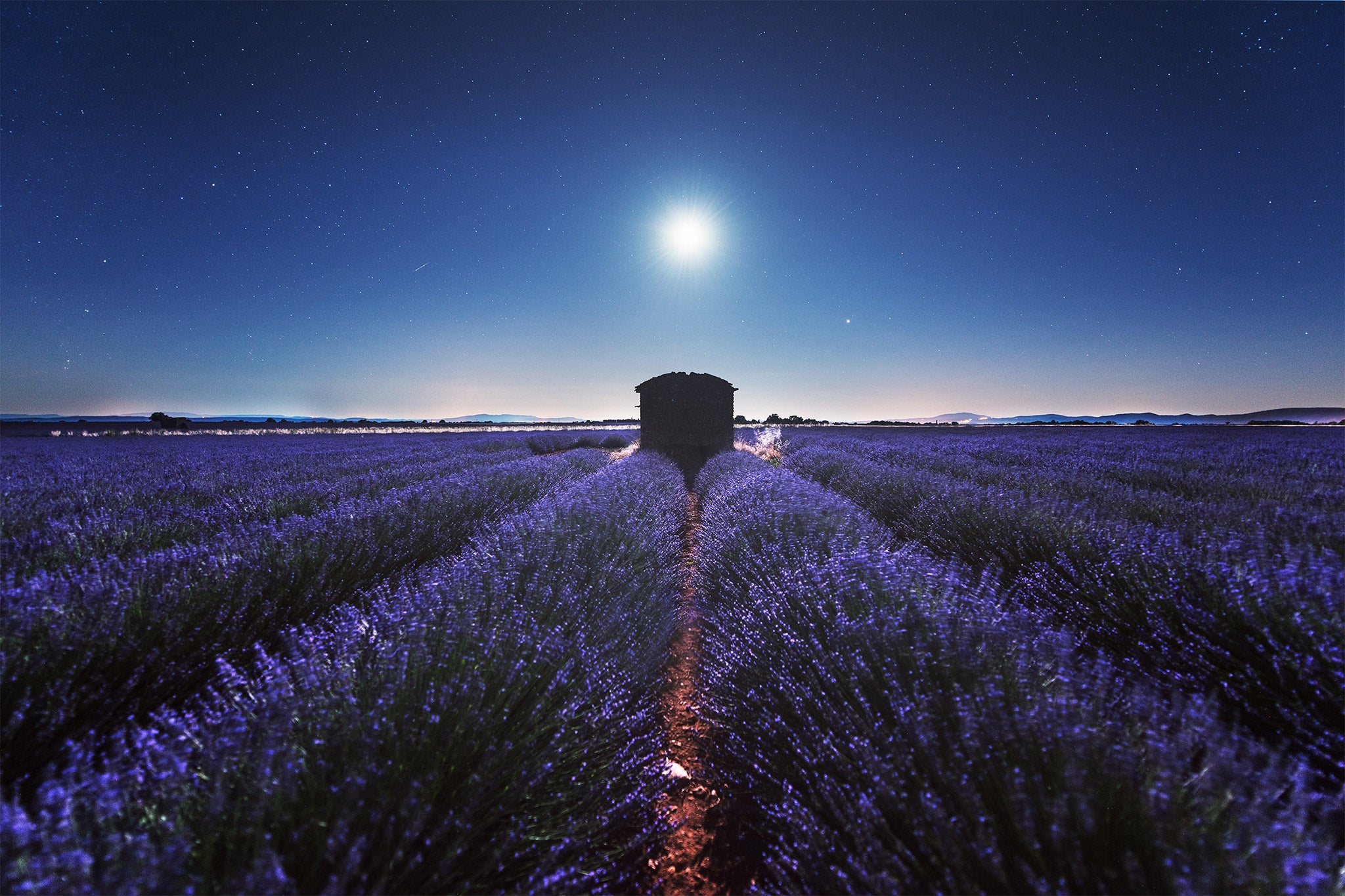 Ultimate Photography Guide to the Lavender Fields of Provence