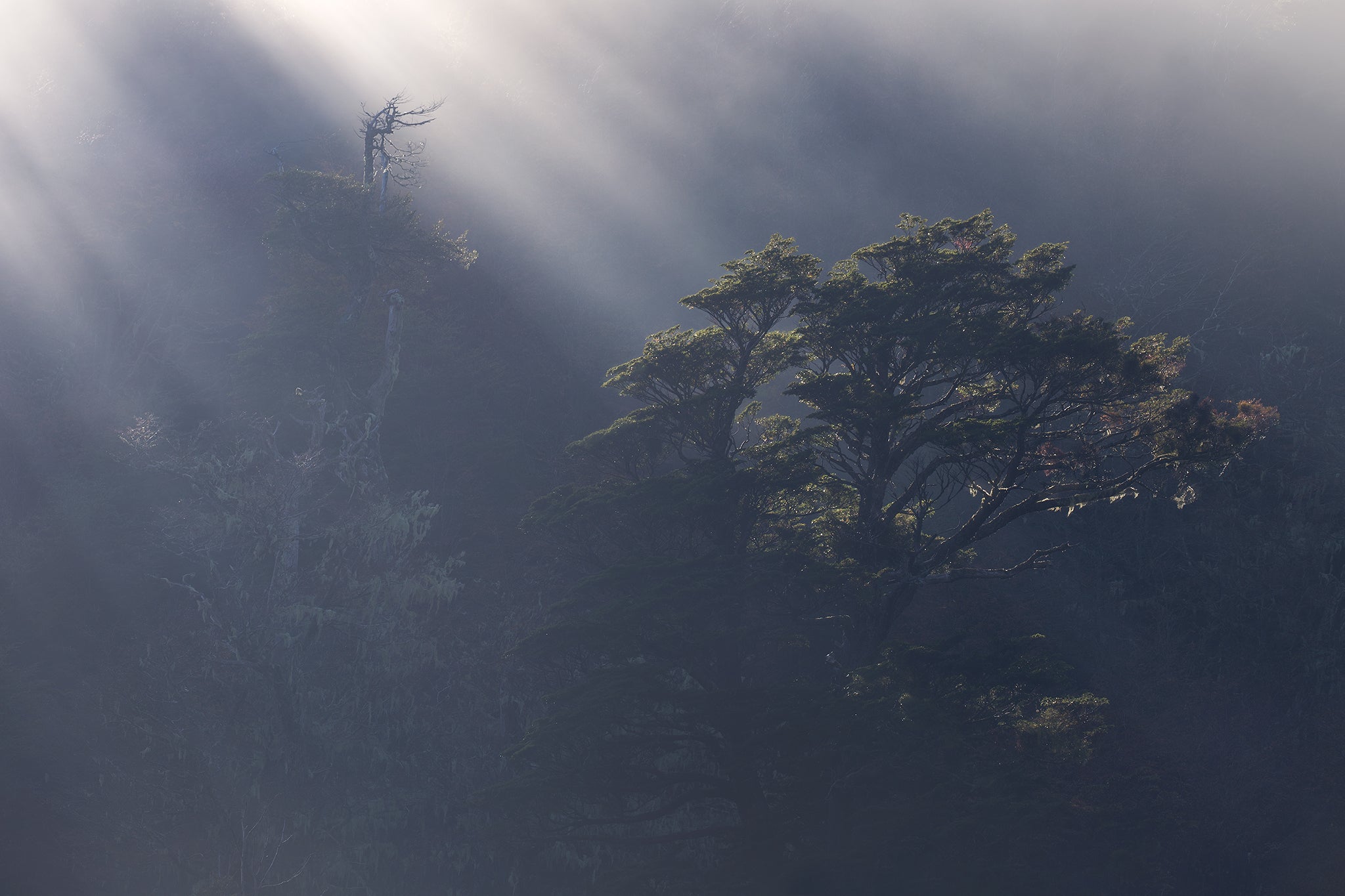 Interview with Andrea Pozzi