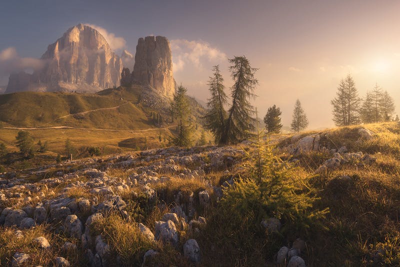 Interview with Lorenzo Nadalini