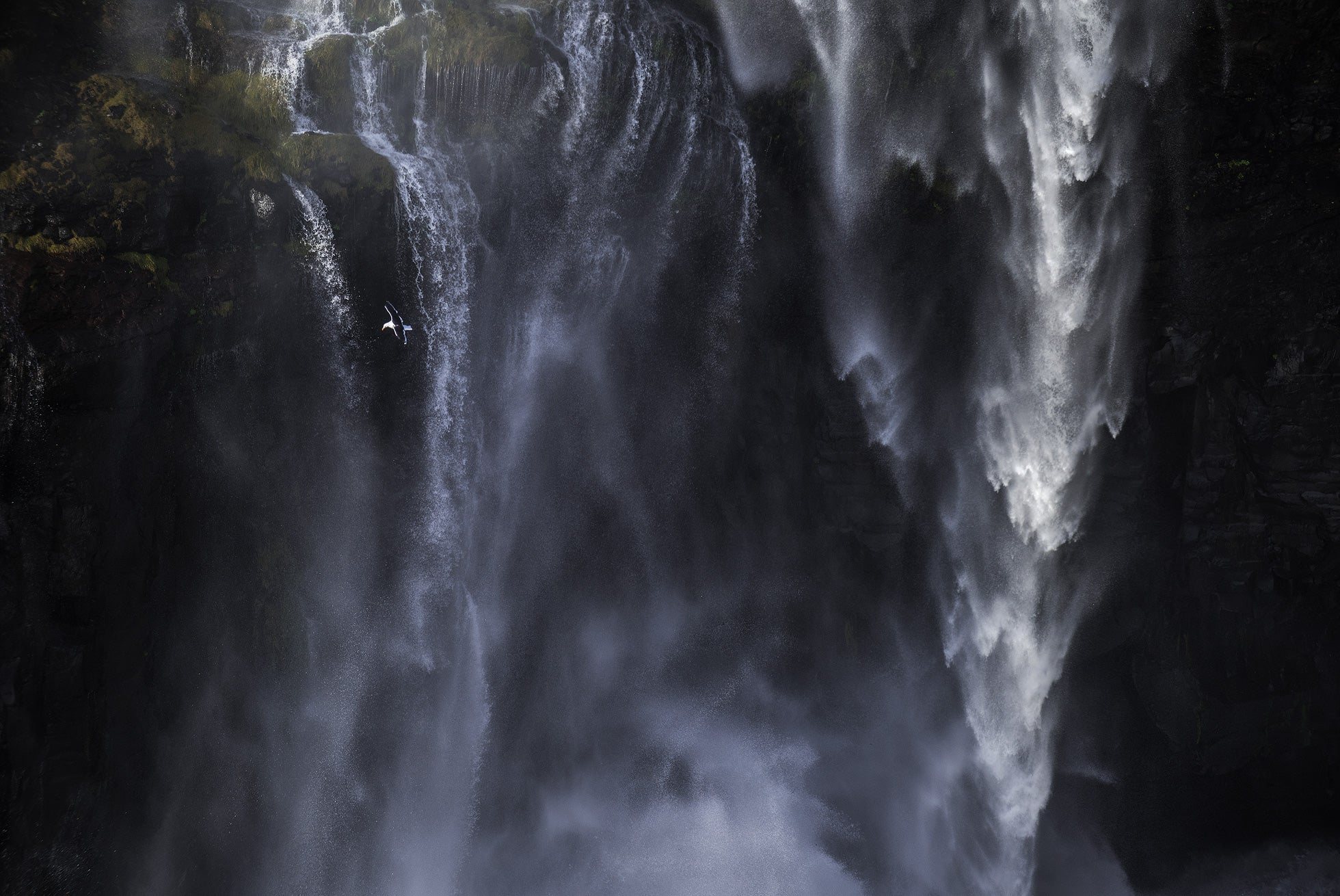 Interview with Christian Hoiberg