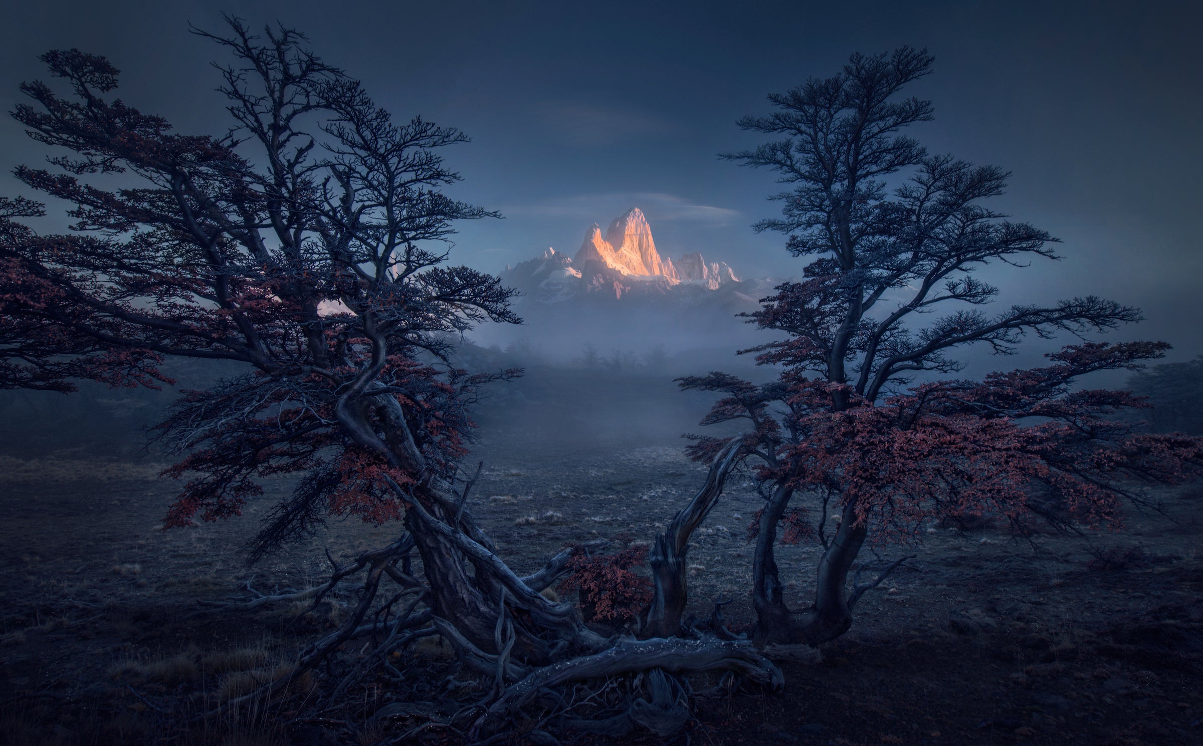MaxRive-Hopefall.jpg