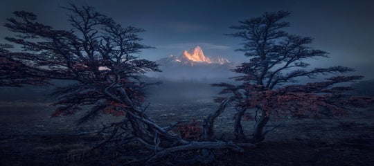 MaxRive-Hopefall.jpg