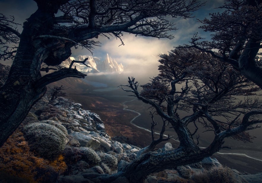 Interview with Max Rive Interview with Max Rive