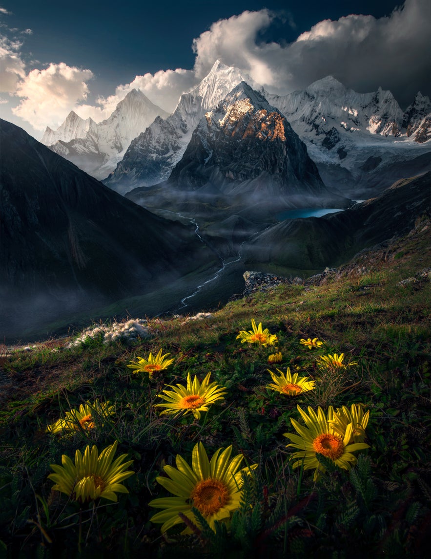 Interview with Max Rive Interview with Max Rive