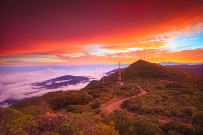 12 Day Costa Rica Wildlife & Landscape Photography Workshop - day 7