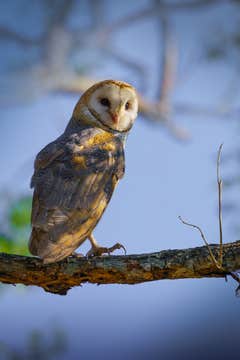 12 Day Costa Rica Wildlife & Landscape Photography Workshop