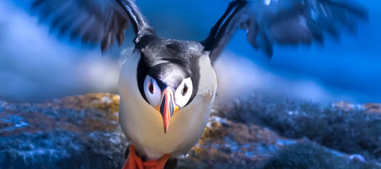 00001Rick Sammon .jpg