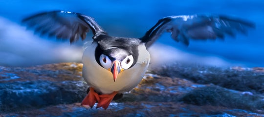 00001Rick Sammon .jpg