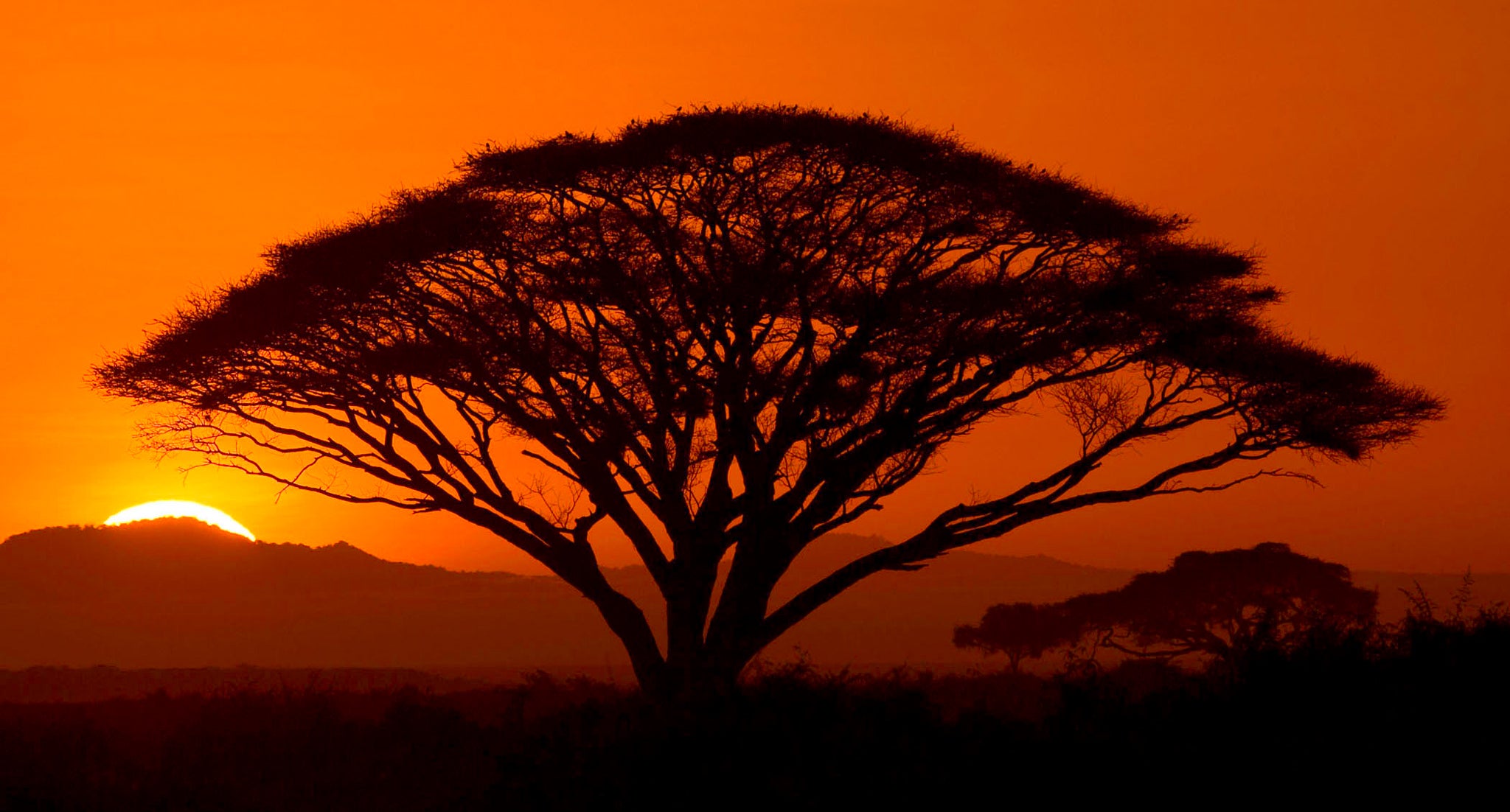 Interview with Rick Sammon