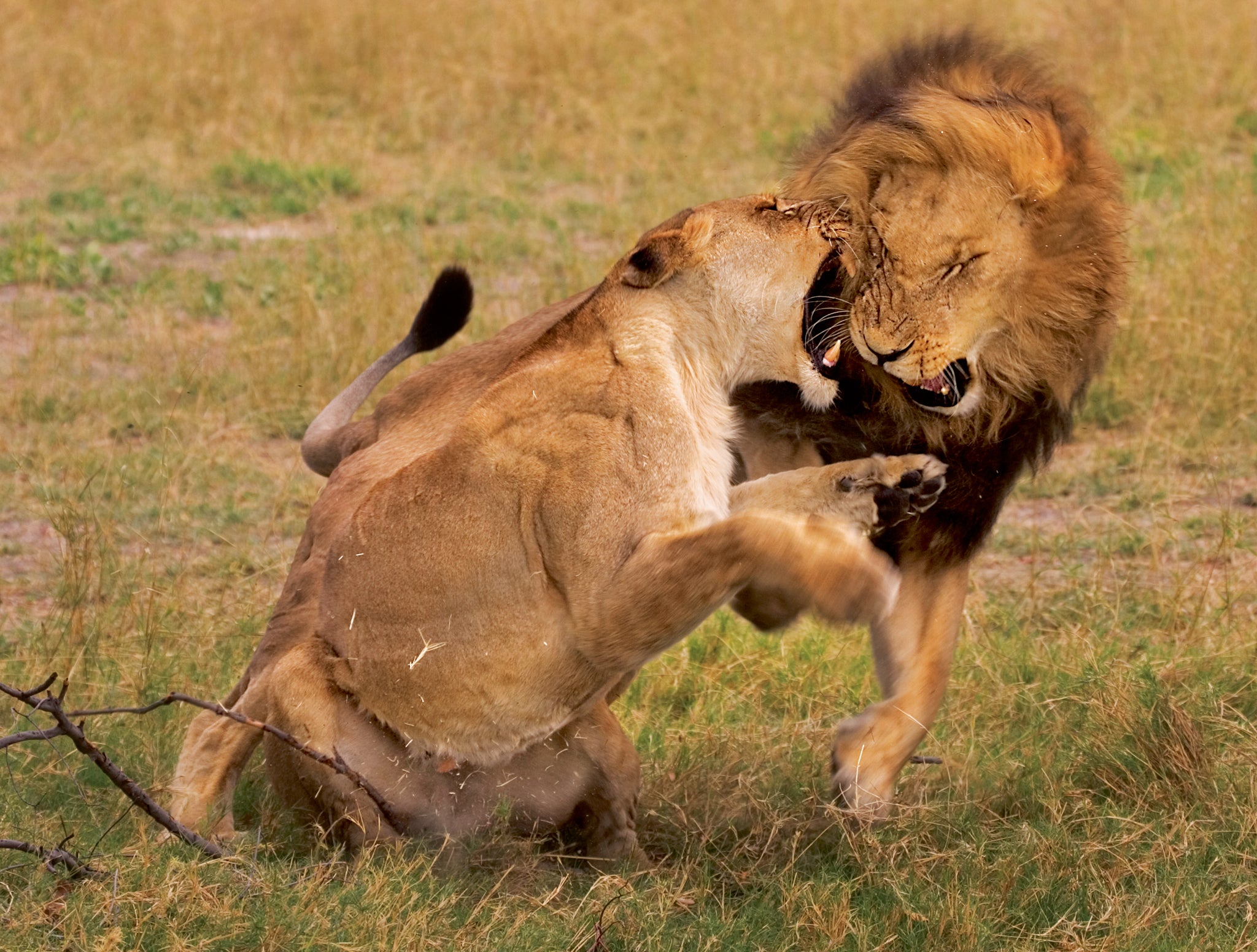 Interview with Rick Sammon