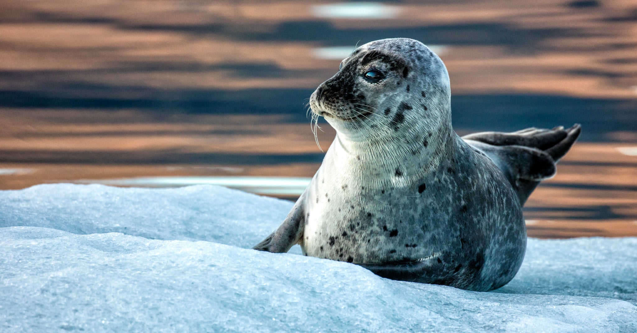 Interview with Rick Sammon