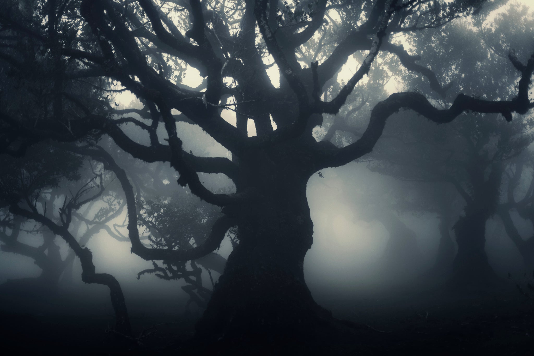 Interview with Alexandre Deschaumes