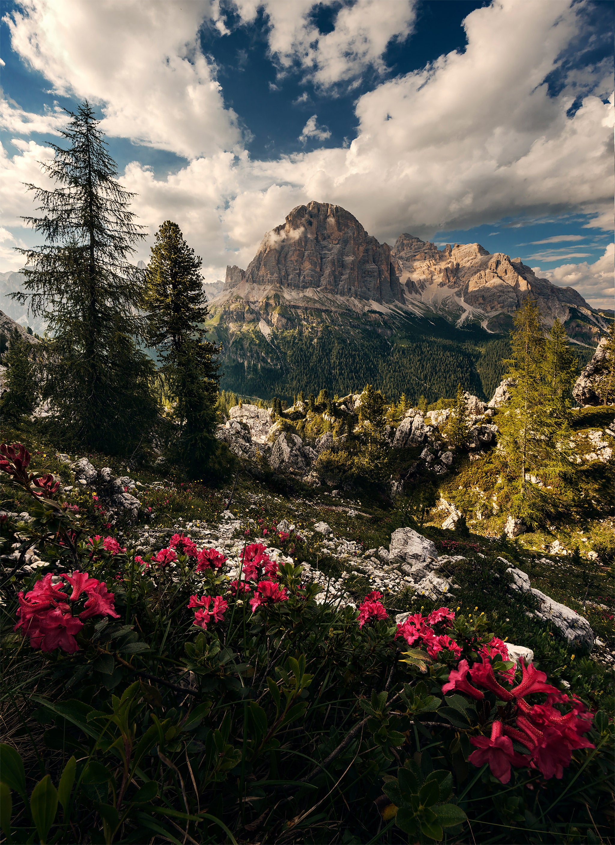 Ultimate Photography Guide to the Dolomites in Italy