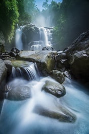 12 Day Costa Rica Wildlife & Landscape Photography Workshop - day 9