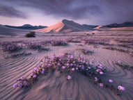 Photographer Interviews