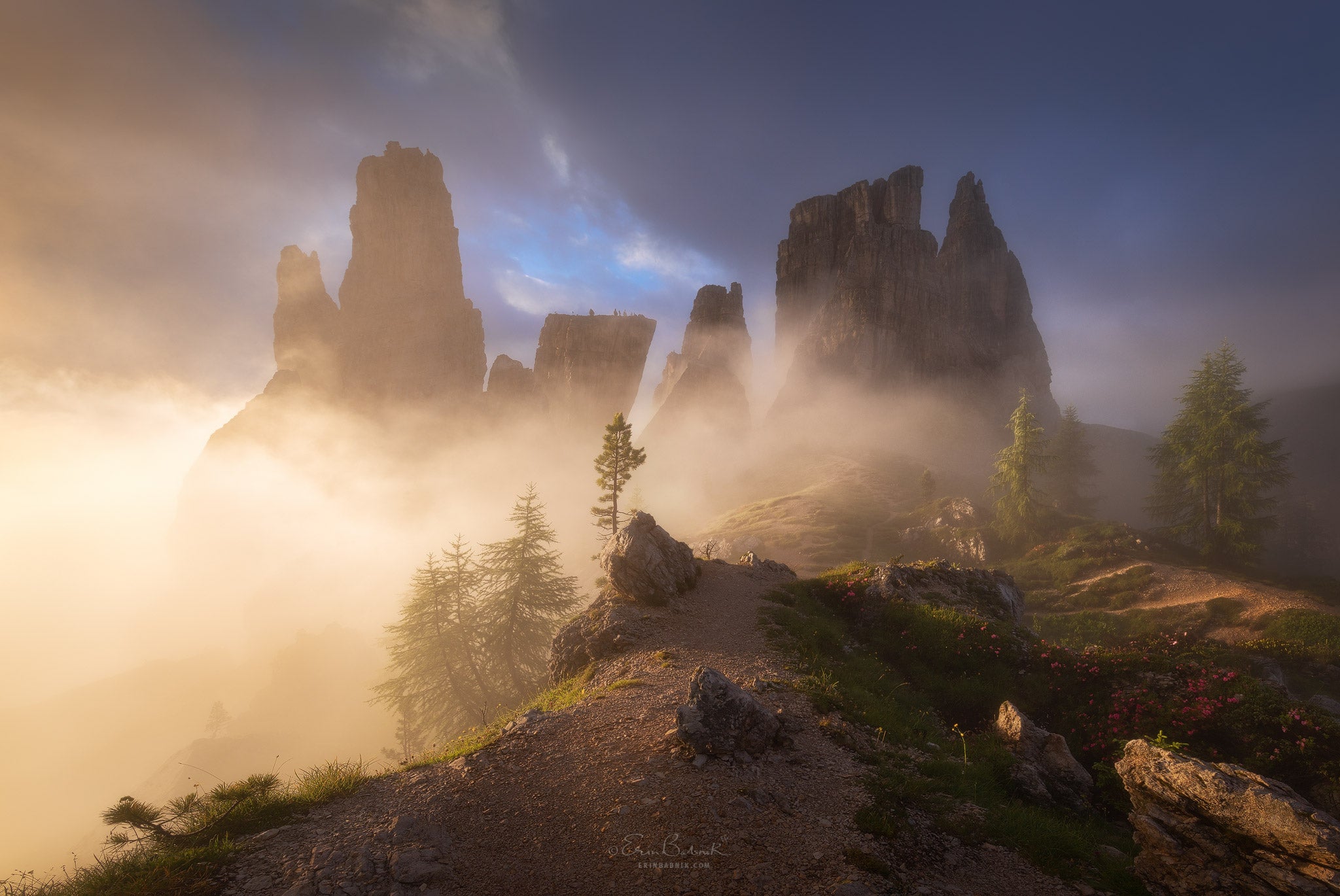 Interview with Erin Babnik