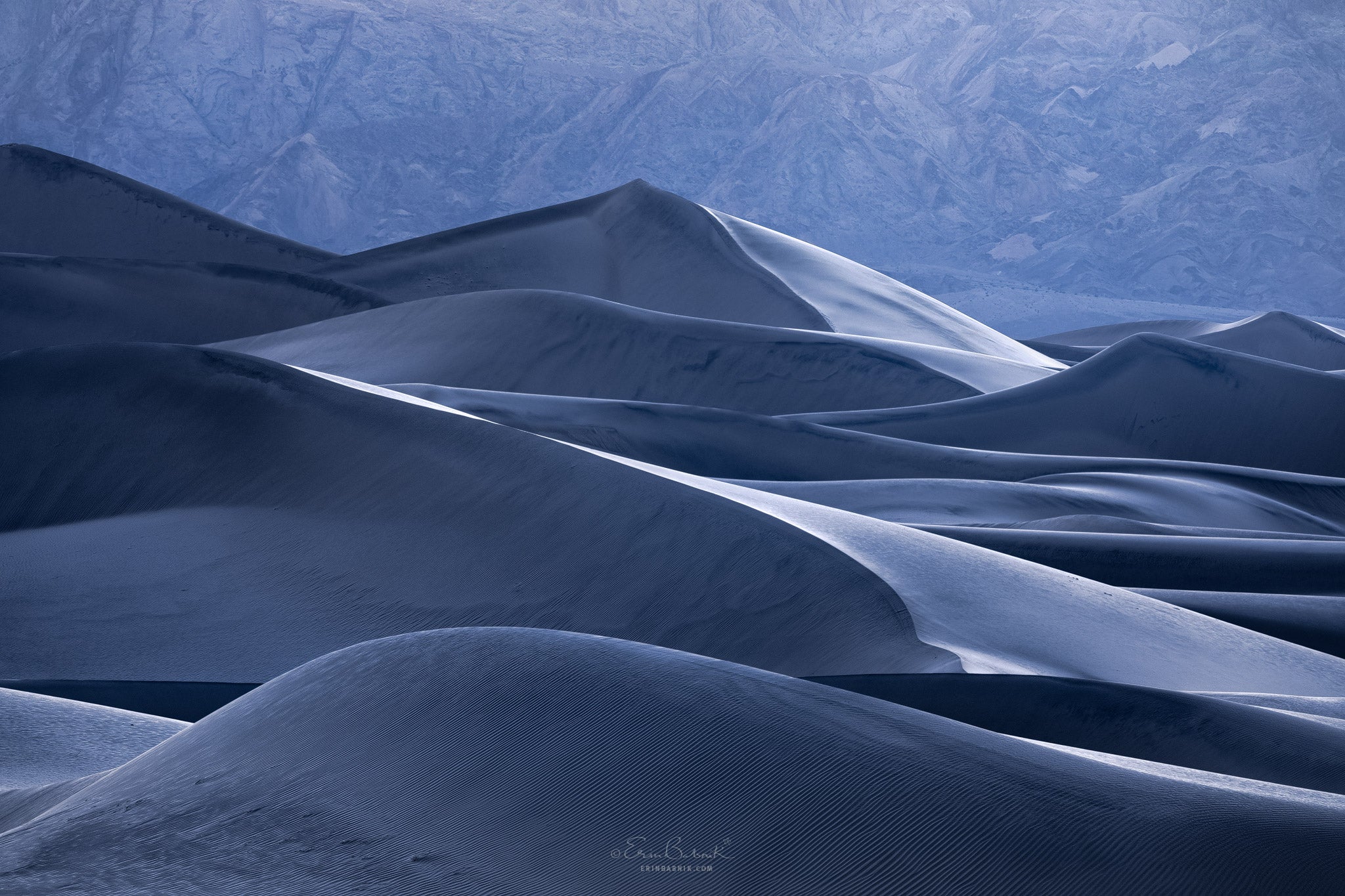 Interview with Erin Babnik