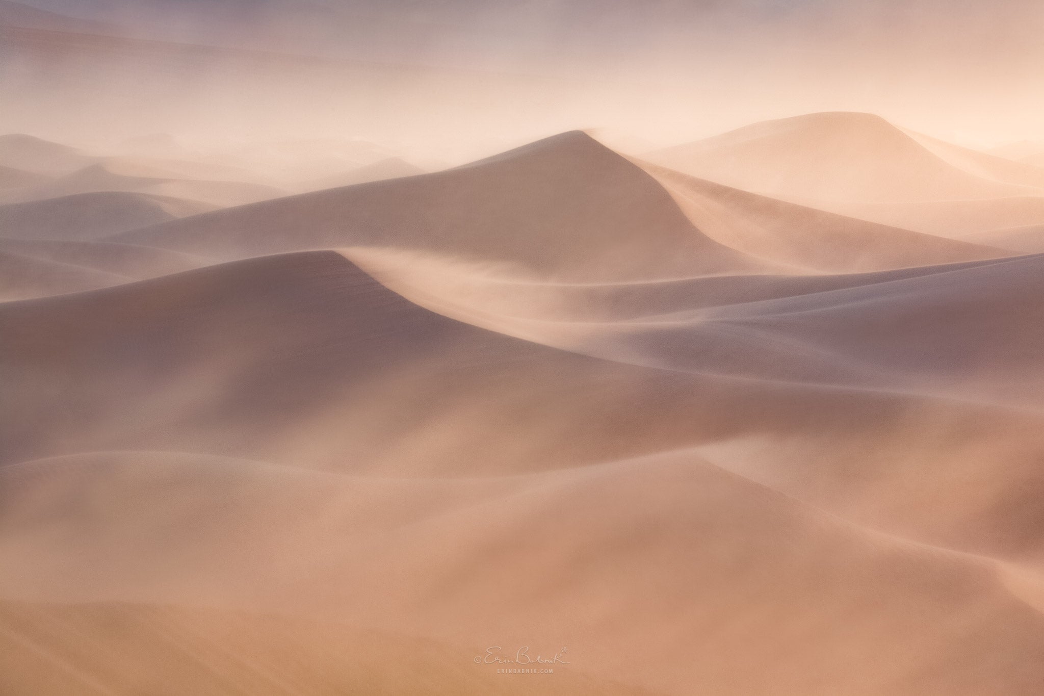 Interview with Erin Babnik