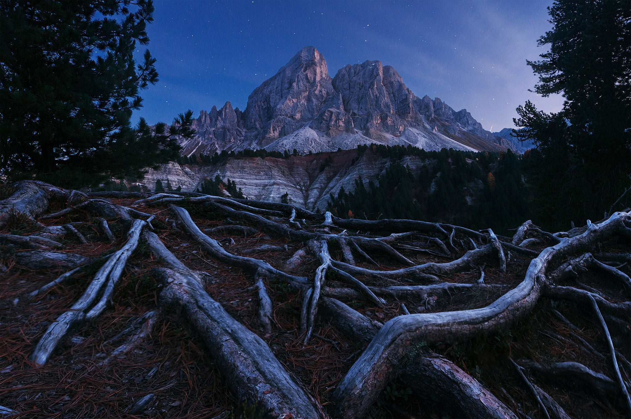 leonardopapera-aberration-1.jpg
