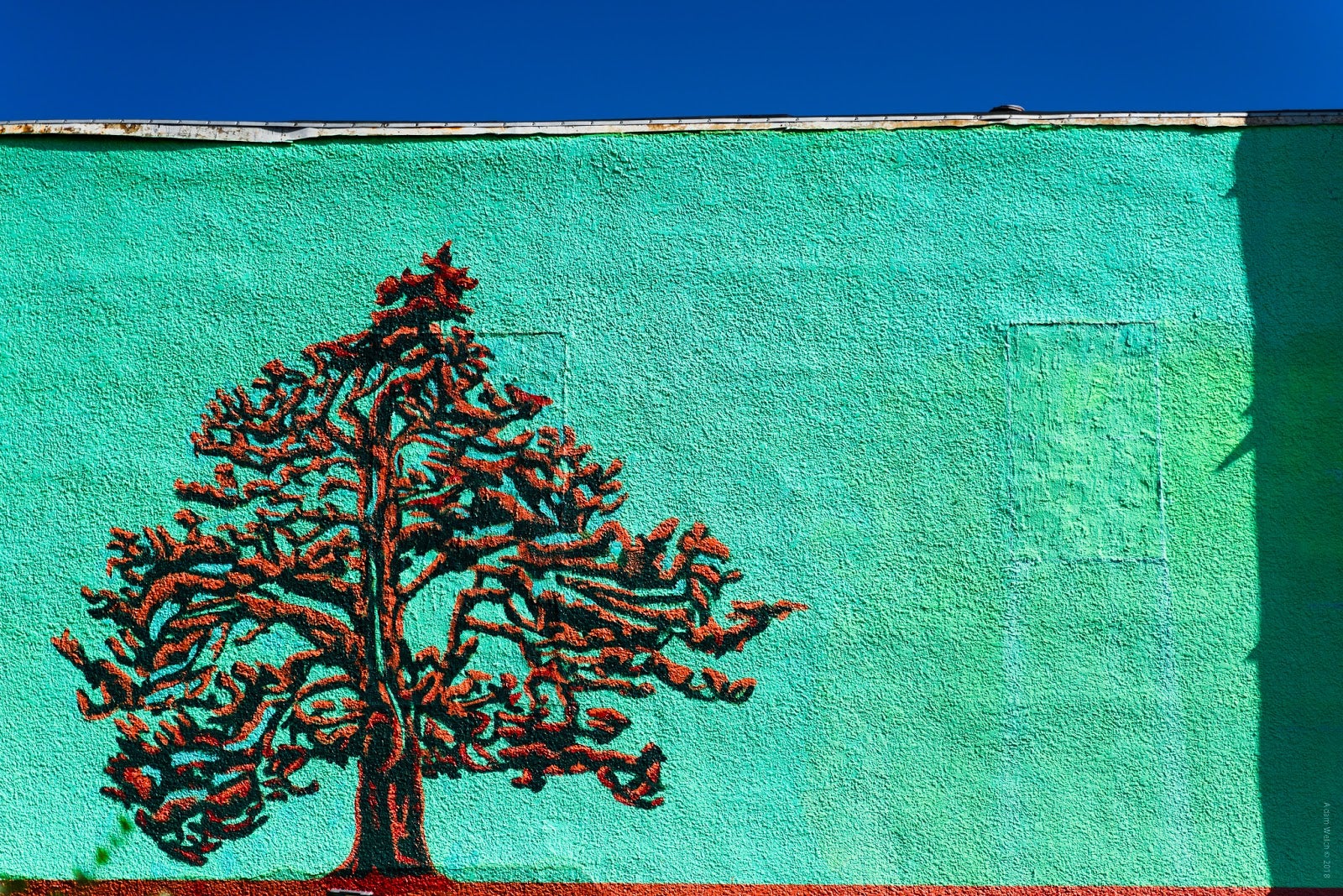 How to Use Complementary Colours in Photography