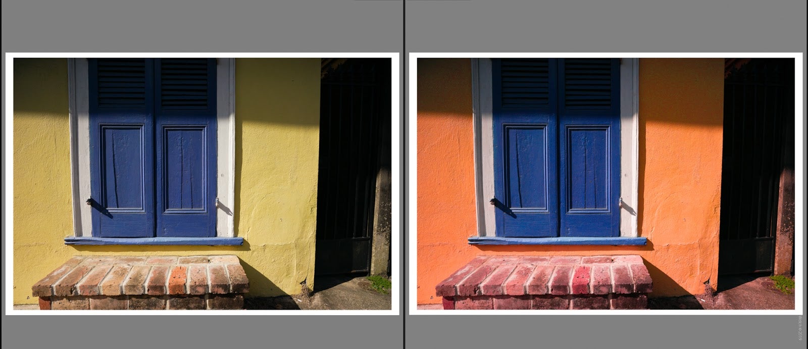 How to Use Complementary Colours in Photography