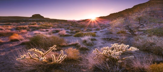 How to Use Complementary Colours in Photography