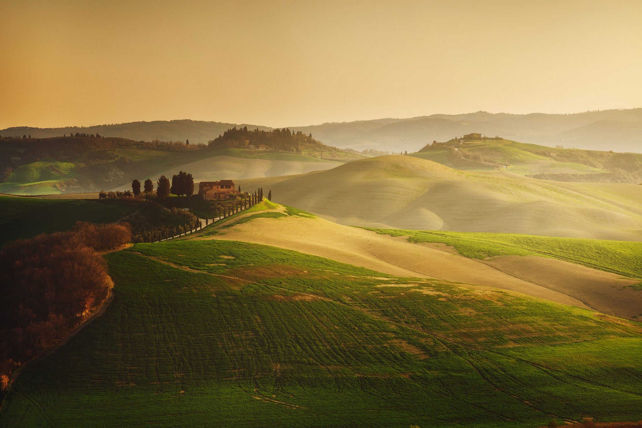 Ultimate Guide to Golden Hour Photography