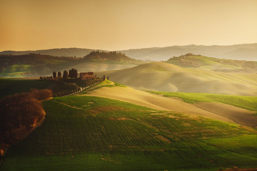 Ultimate Guide to Golden Hour Photography Ultimate Guide to Golden Hour Photography