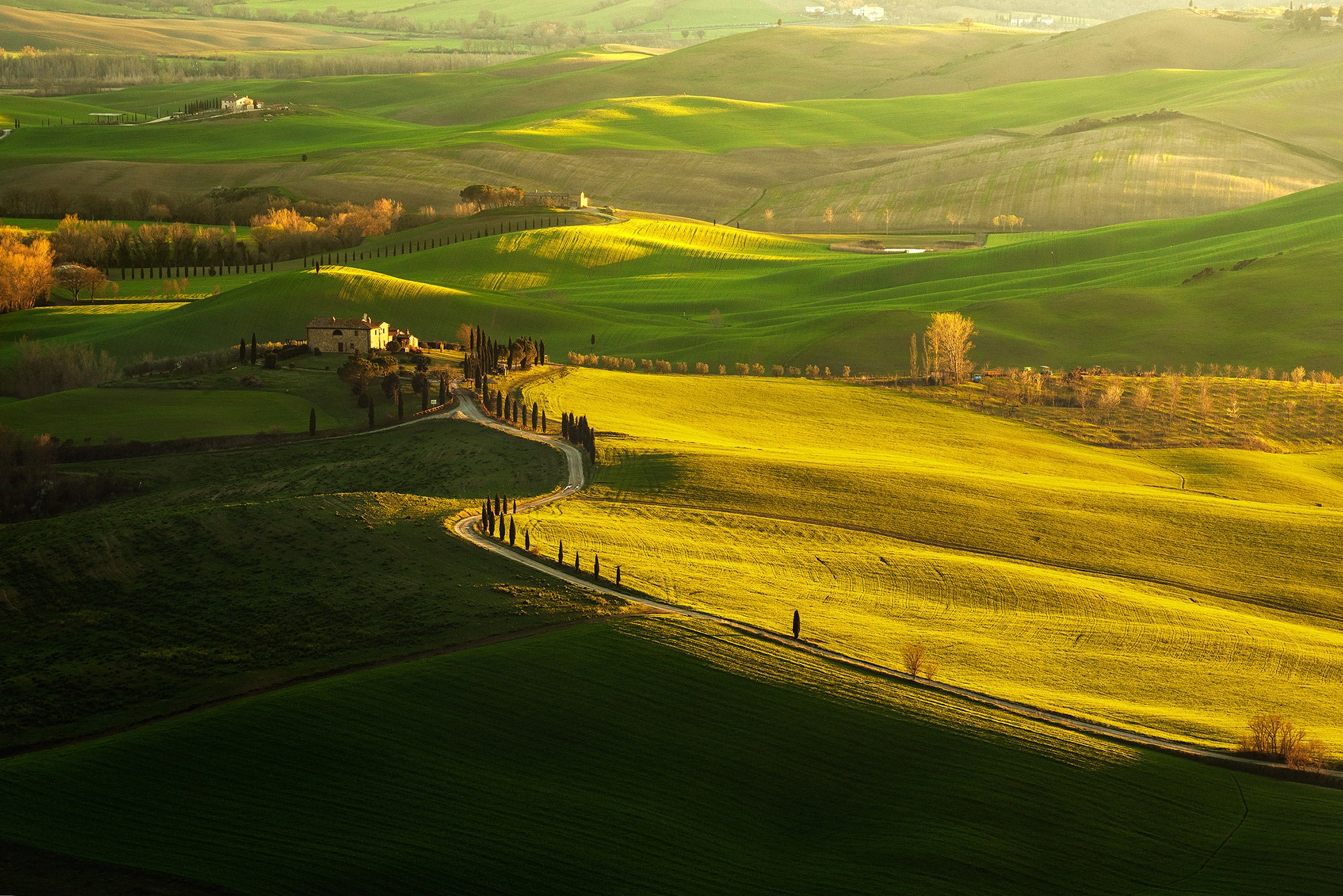 Ultimate Guide to Golden Hour Photography