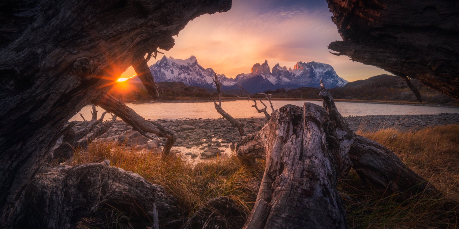 Depth of Field in Photography