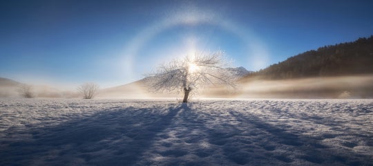 AlesKrivec-Interview-Ring of frost.jpg