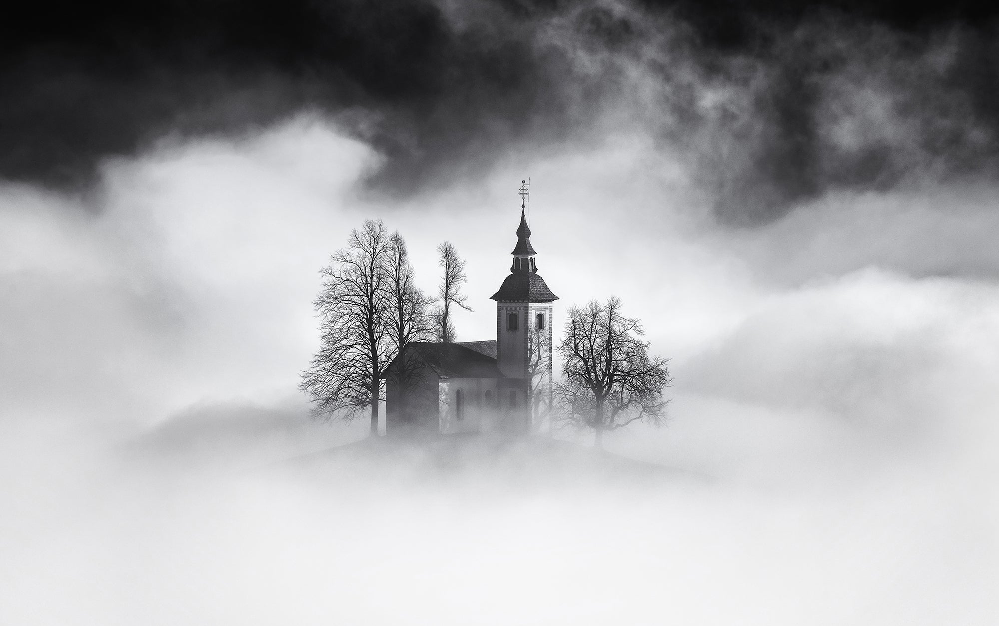 Interview with Ales Krivec