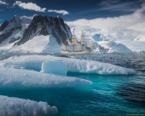 The Ultimate Guide to Cruises to Antarctica