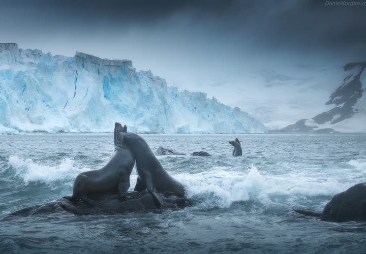 Some cruises go from New Zealand to Australia.