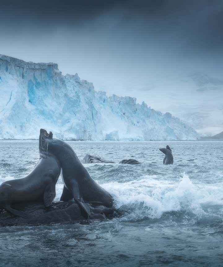 Some cruises go from New Zealand to Australia.