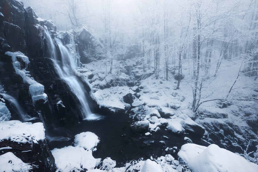 15 Tips for Monochrome Photography 15 Tips for Monochrome Photography