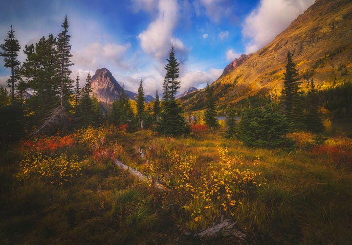 Interview with Peter Coskun