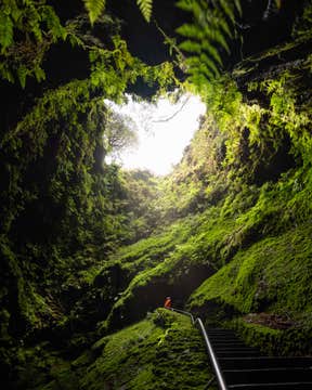 7 Day Azores Photo Workshop
