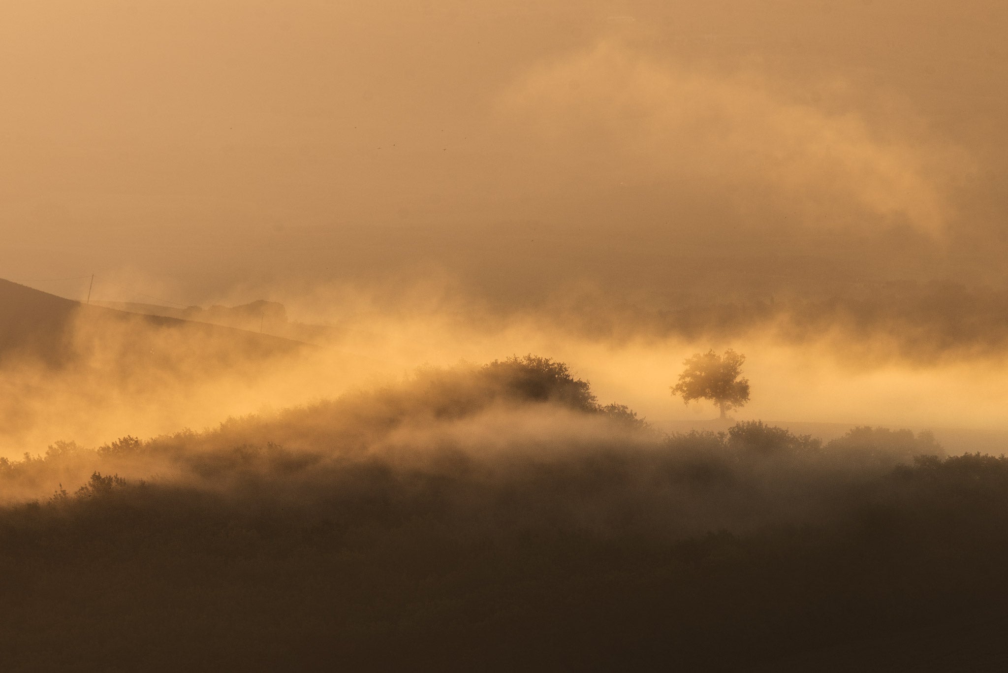 The Best Photo Editing Software and Apps for 2020