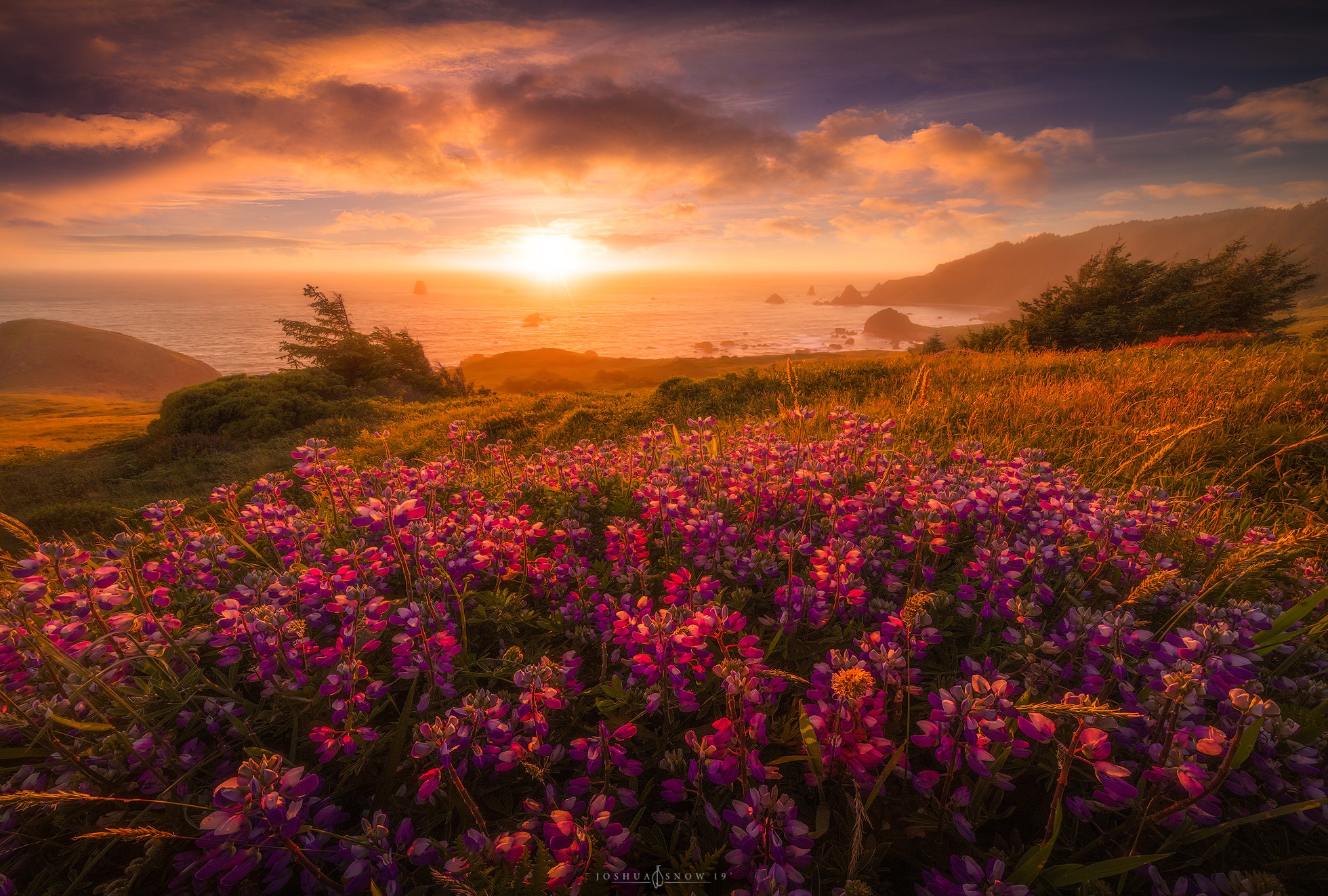 Interview with Joshua Snow