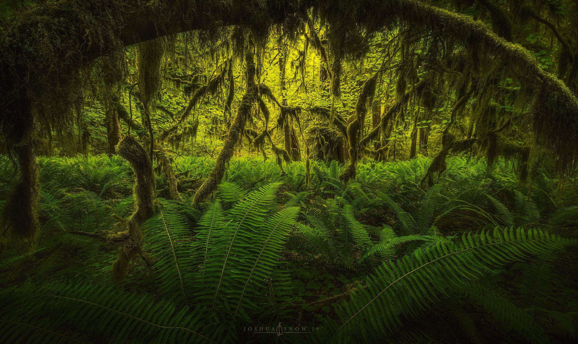 Interview with Joshua Snow