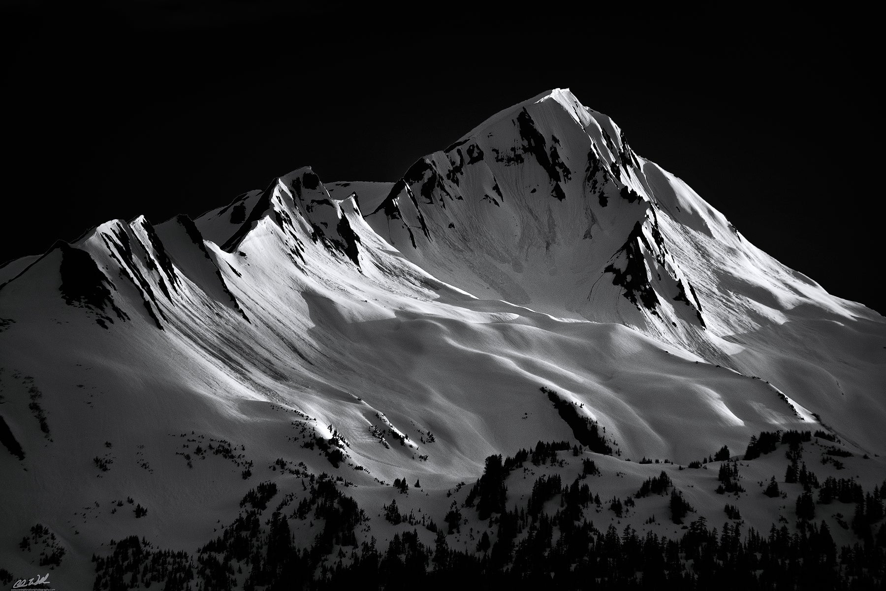 Interview with Chris Williams