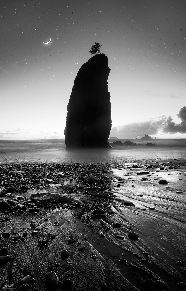 Interview with Chris Williams